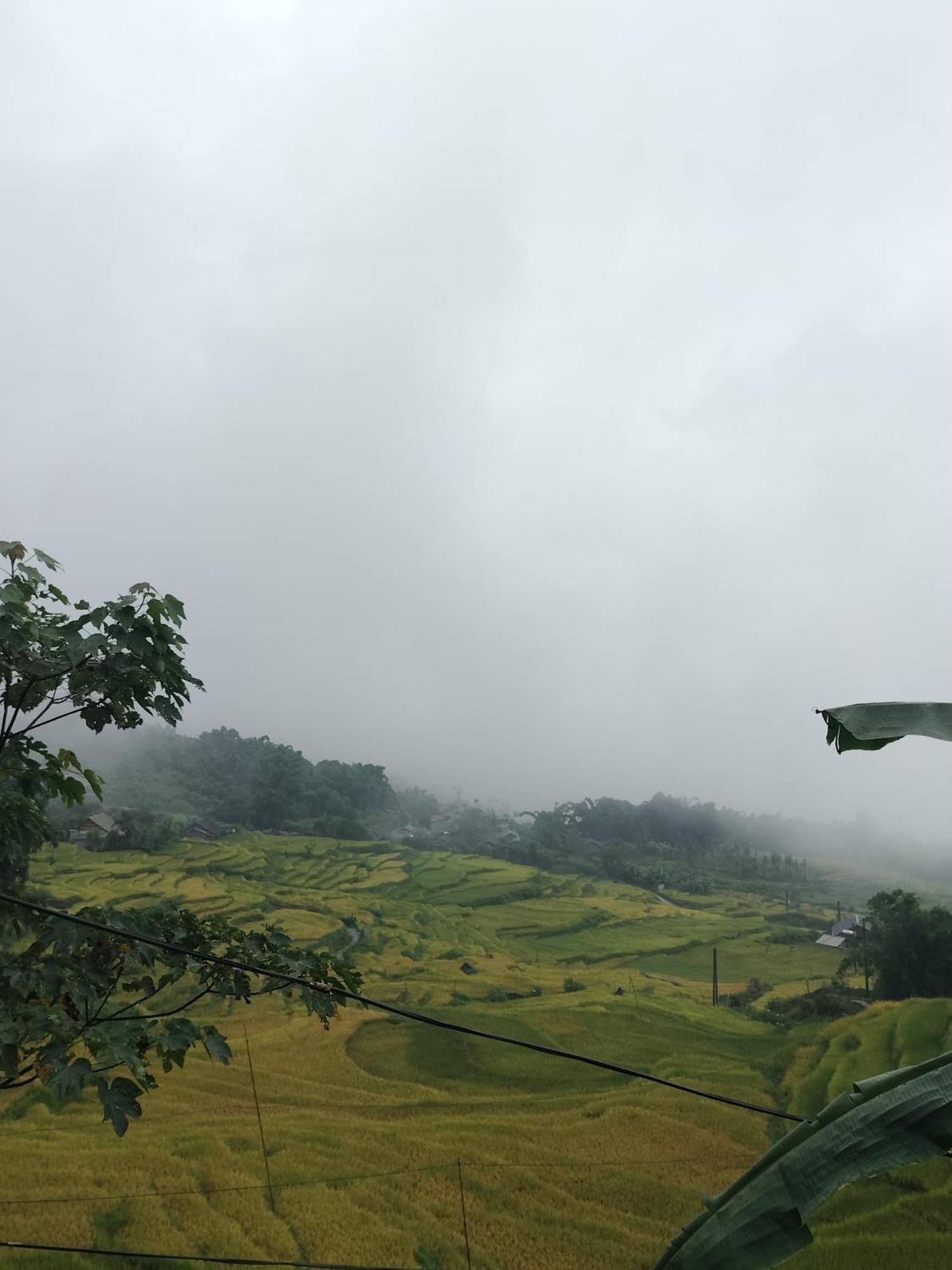 Flying Horse B & B Sapa Exterior photo